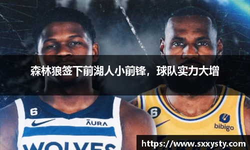 森林狼签下前湖人小前锋，球队实力大增