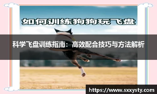 科学飞盘训练指南：高效配合技巧与方法解析