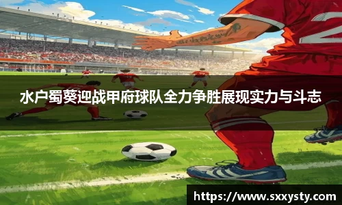 水户蜀葵迎战甲府球队全力争胜展现实力与斗志