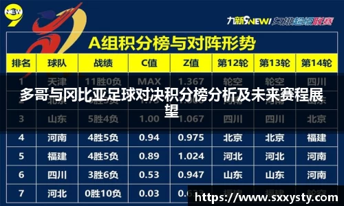 多哥与冈比亚足球对决积分榜分析及未来赛程展望